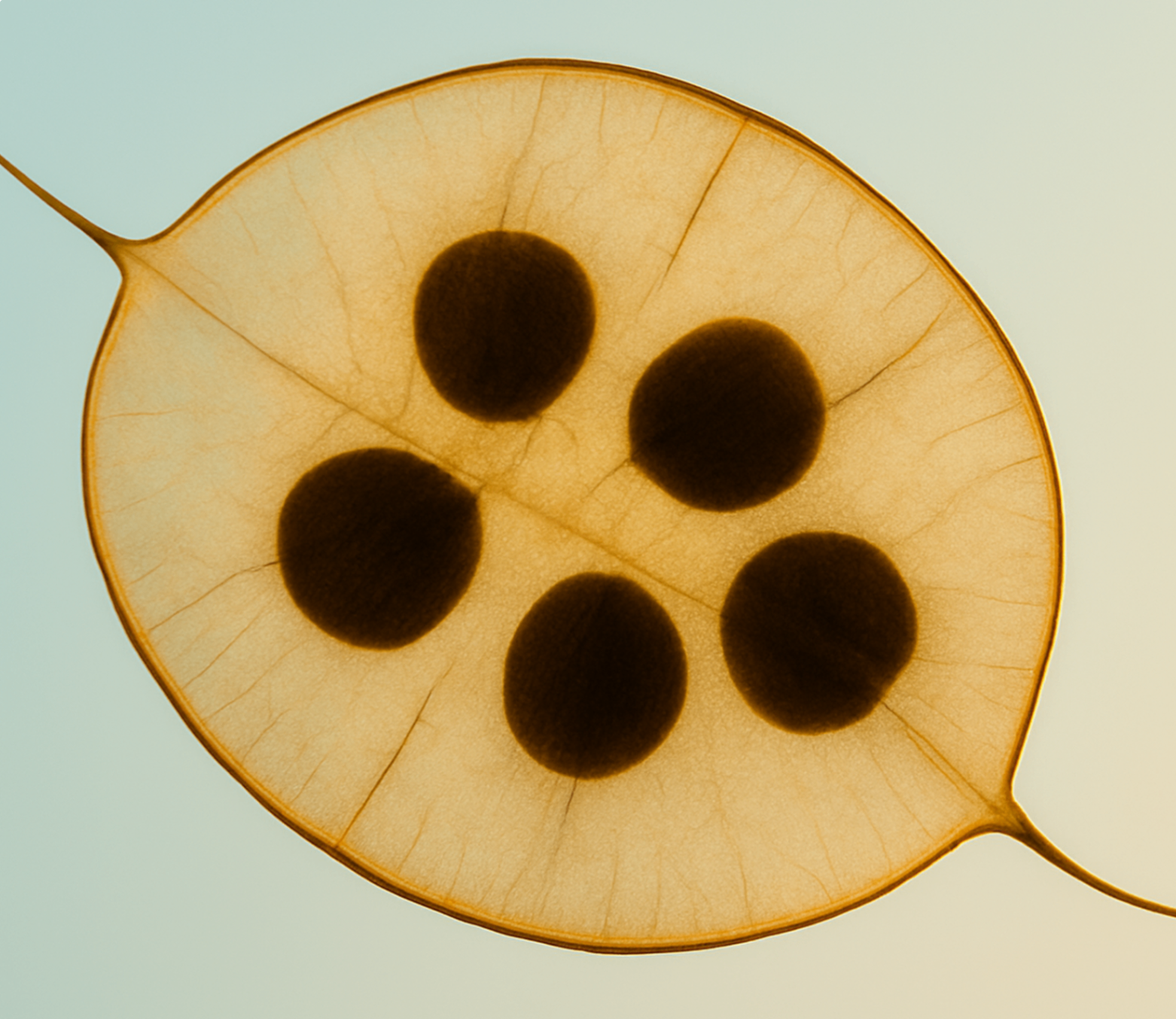 Abstract botanical KEYONIQ image used as a scientific visual motif